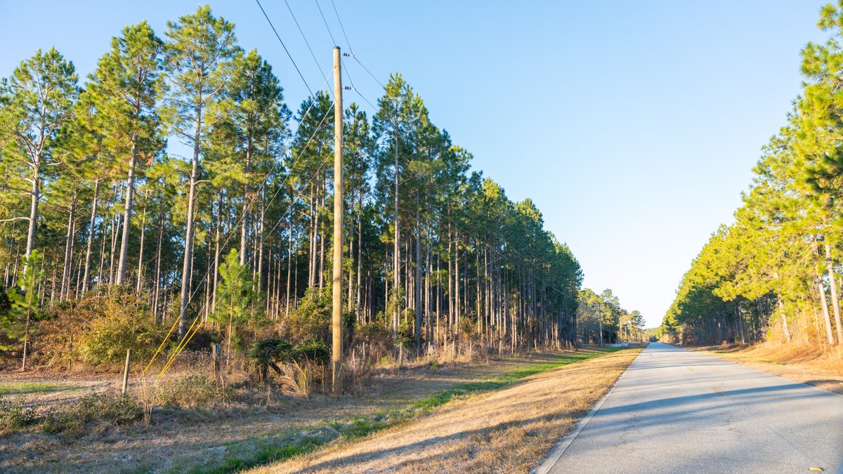 Image for RESERVE HAS BEEN MET! 40.1 +/- Acres - Pleasant Grove Pines (2) Potential Homesites w/ Recreational Acreage