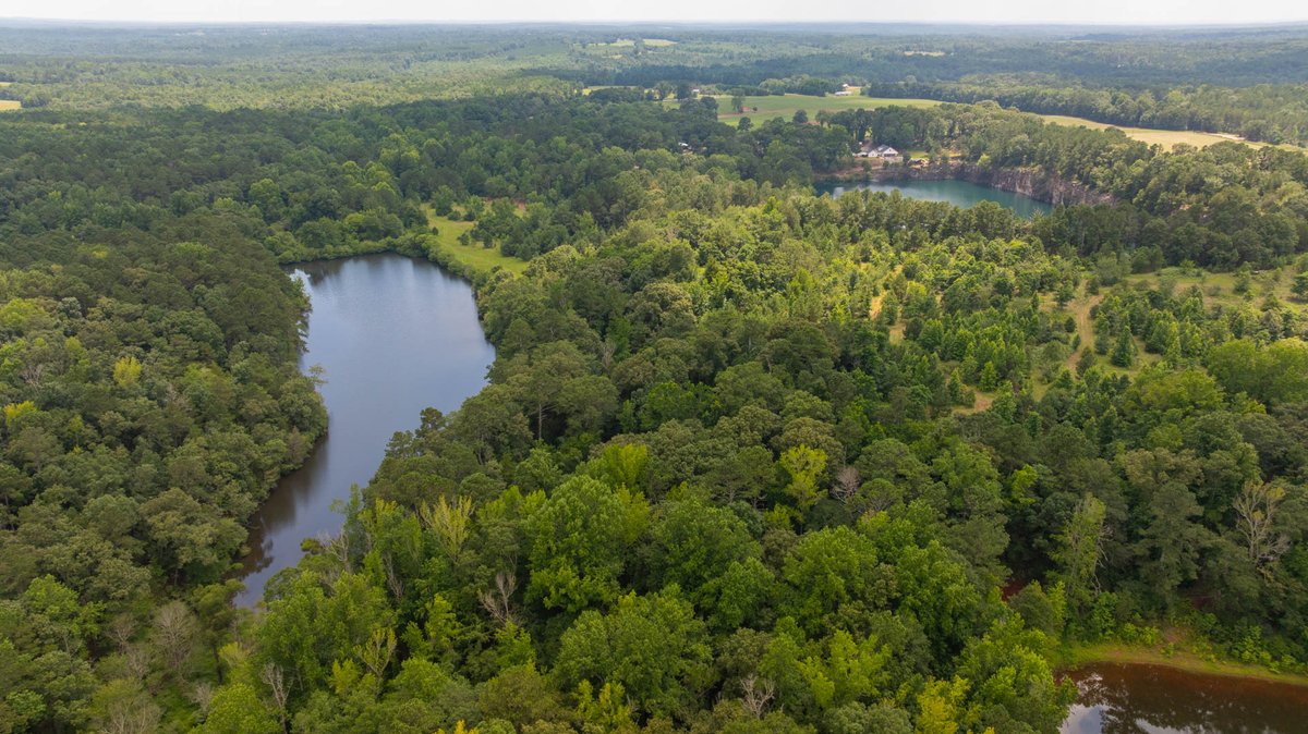 Image for 300.93+/- Acres - Rock Quarry Ridge - Sportsman’s Paradise w/ Beautiful Lakes & Homesite Potential - Offered Divided & As a Whole