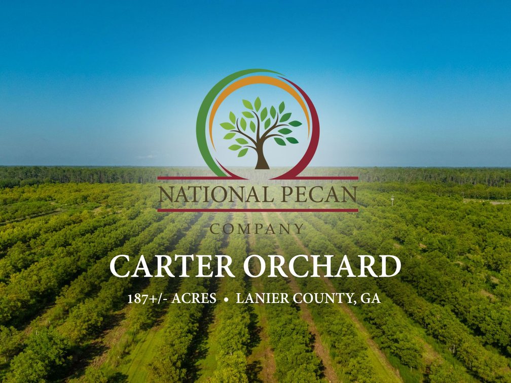 Image for 187± Acres - Carter Orchard - Residential Lots with Road Frontage on Lakeland Highway - Young Irrigated Orchard w/ Oak Hardwood Areas