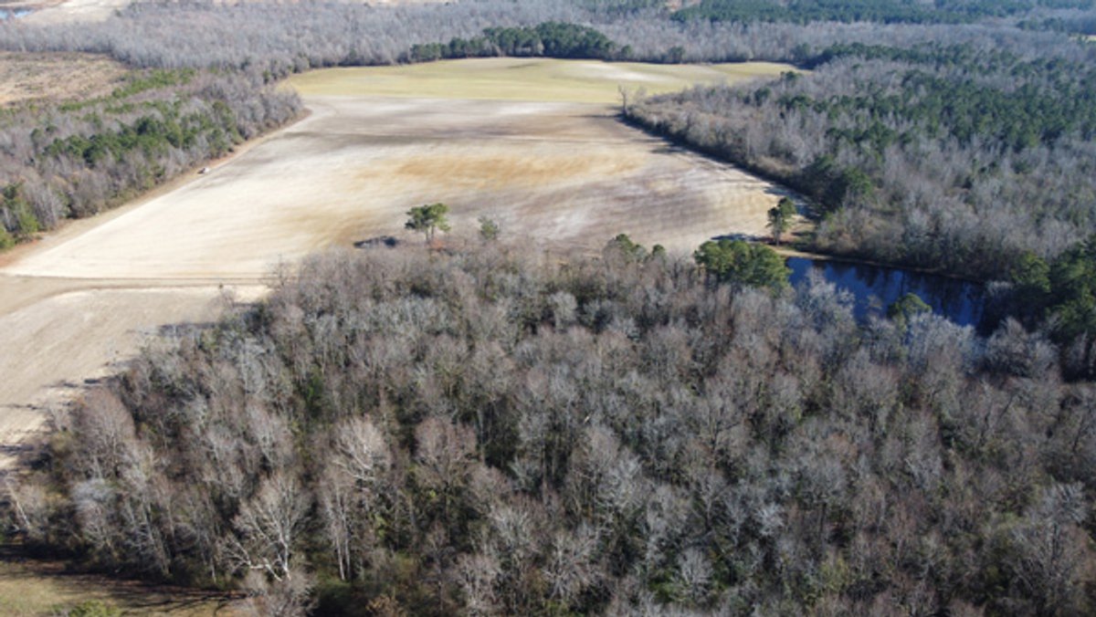 Image for 197 Acres in Harnett County Divided into Multiple Tracts with a Brick Ranch Home!
