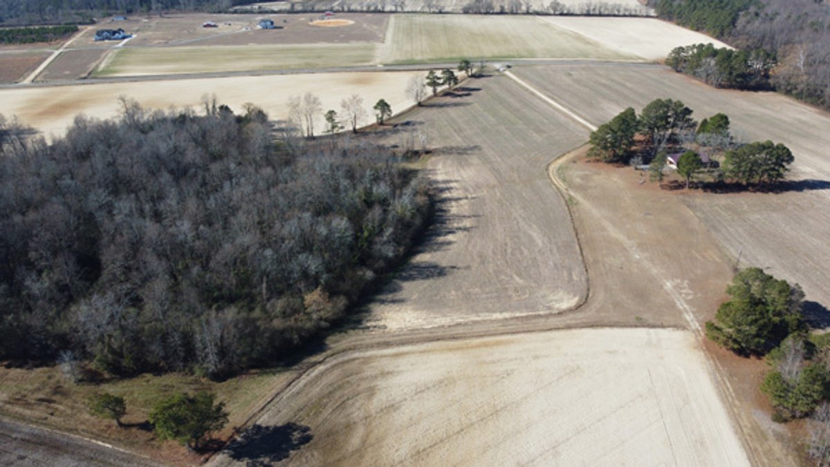 Image for 197 Acres in Harnett County Divided into Multiple Tracts with a Brick Ranch Home!