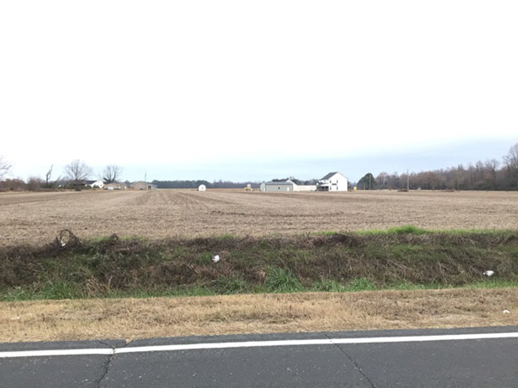 Image for 197 Acres in Harnett County Divided into Multiple Tracts with a Brick Ranch Home!