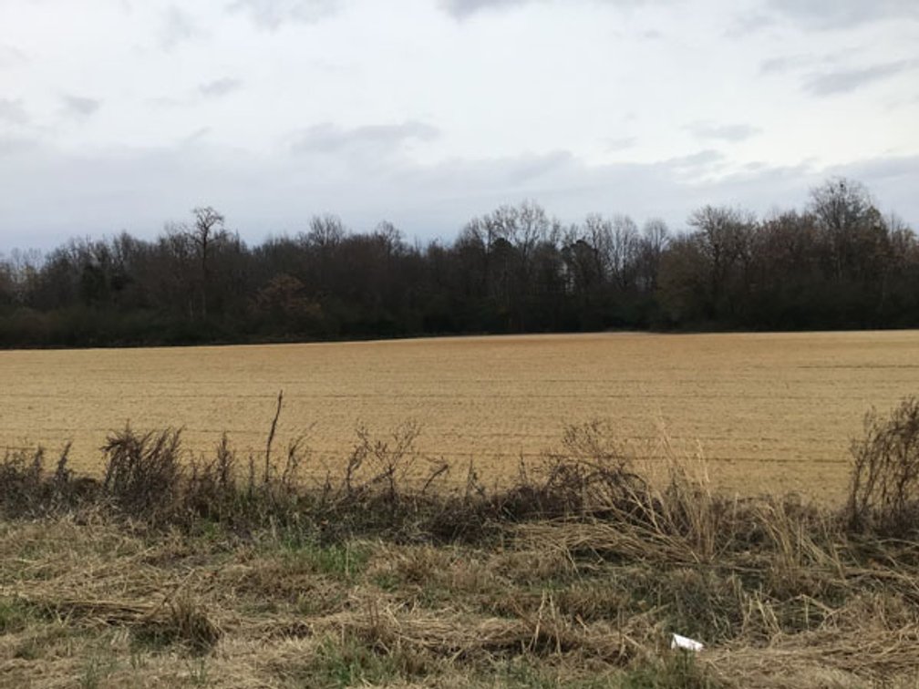 Image for 197 Acres in Harnett County Divided into Multiple Tracts with a Brick Ranch Home!