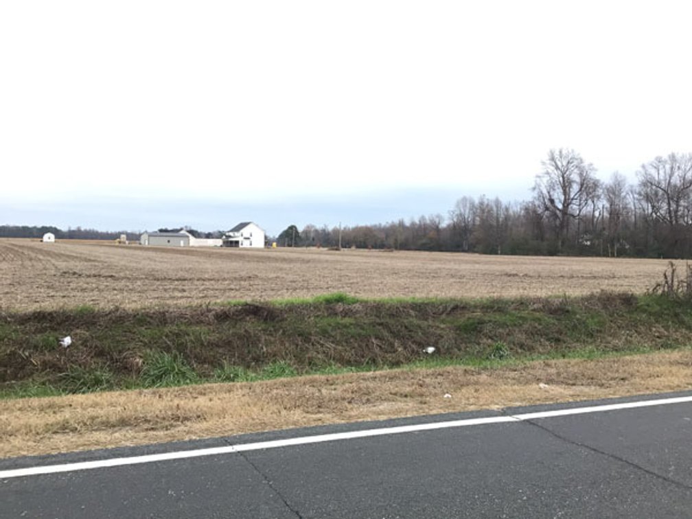 Image for 197 Acres in Harnett County Divided into Multiple Tracts with a Brick Ranch Home!