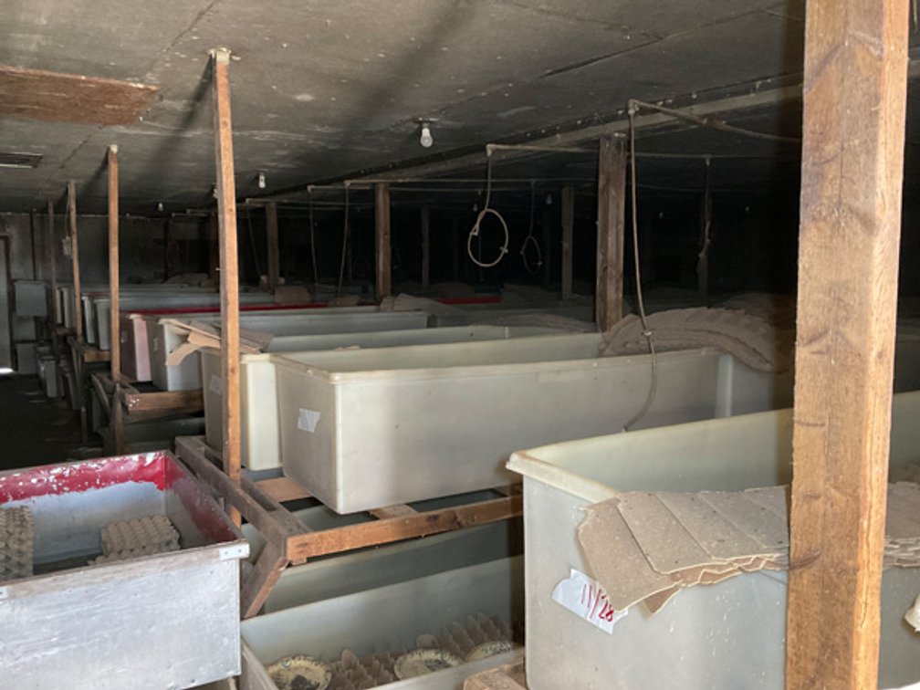 Image for Formerly Warrens Cricket Farm Inc. Personal Property