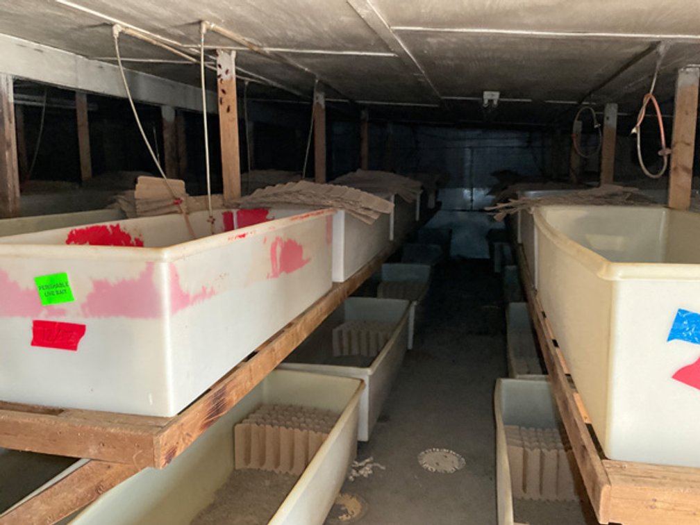 Image for Formerly Warrens Cricket Farm Inc. Personal Property