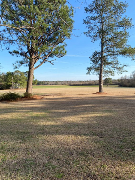 Image for 197 Acres in Harnett County Divided into Multiple Tracts with a Brick Ranch Home!