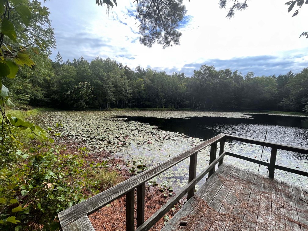 Image for 43 acres in Harnett County with a brick home in an onsite live /online / simulcast auction event!