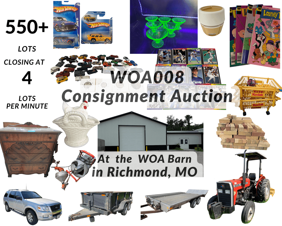 Image for Wrisinger Online Consignment 008