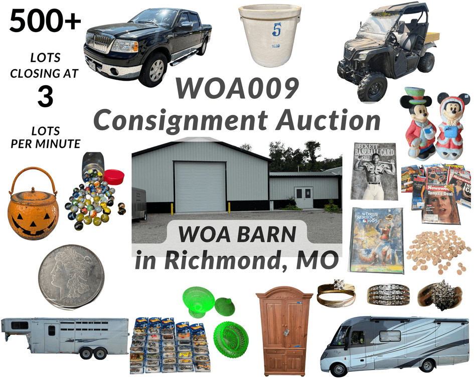 Image for Wrisinger Online Consignment 009