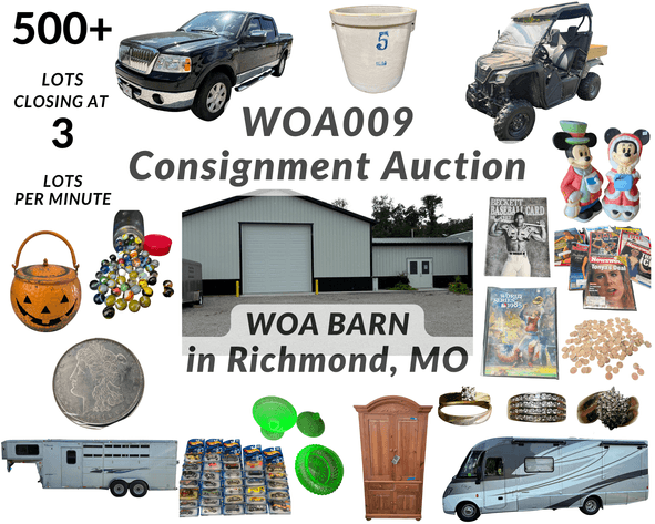 Image for Wrisinger Online Consignment 009