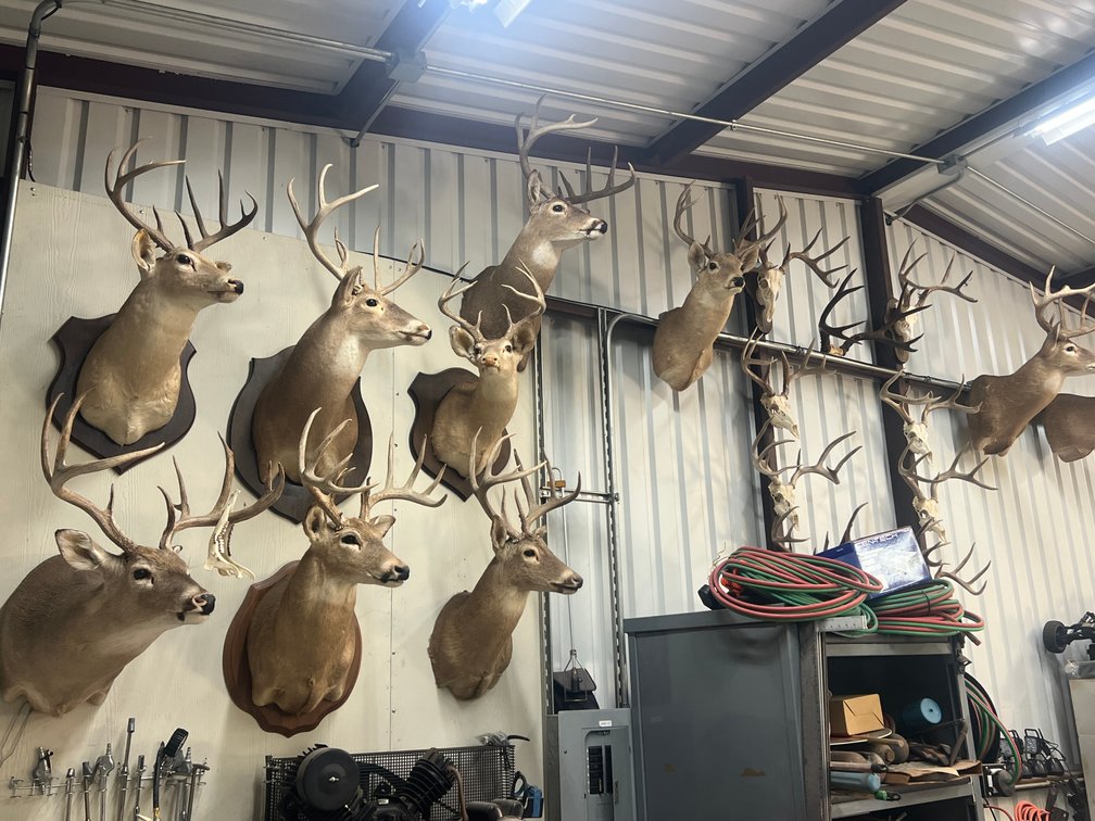 Image for Absolute Ranch Liquidation Auction – Nolanville, TX