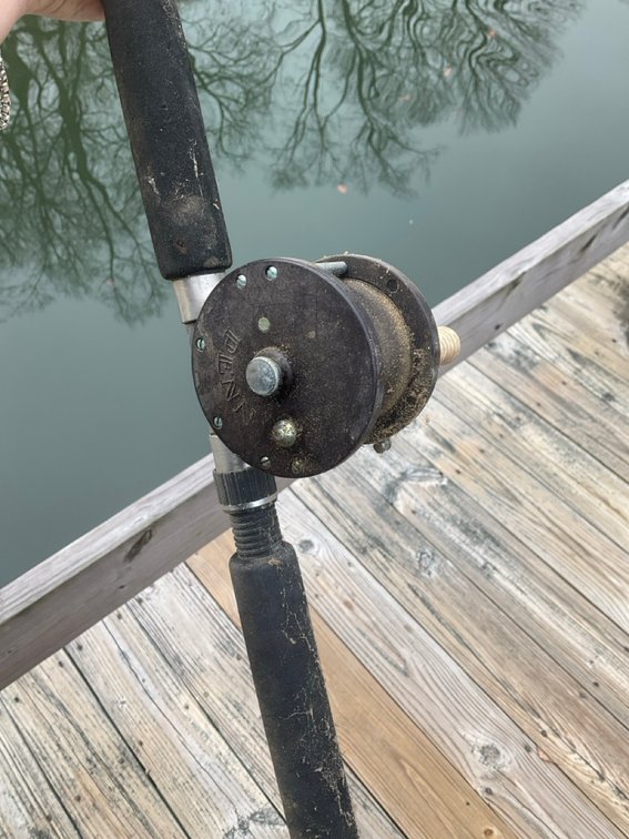 Image for The Camicia Collection - Smith Mountain Lake, VA