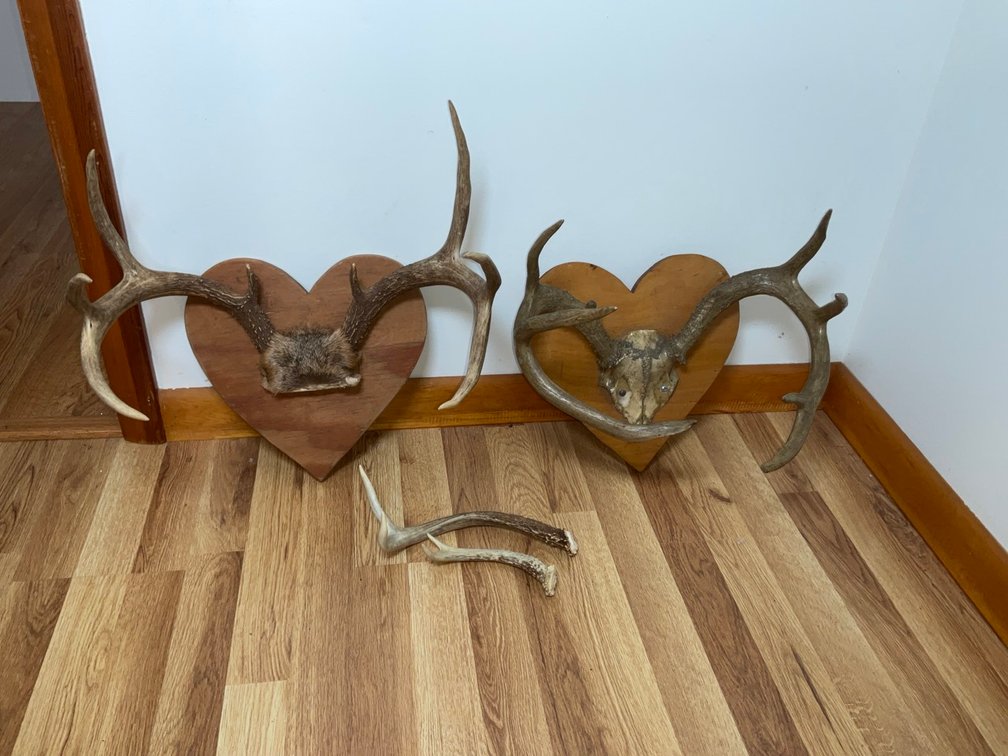 Image for Treasures in Peterstown