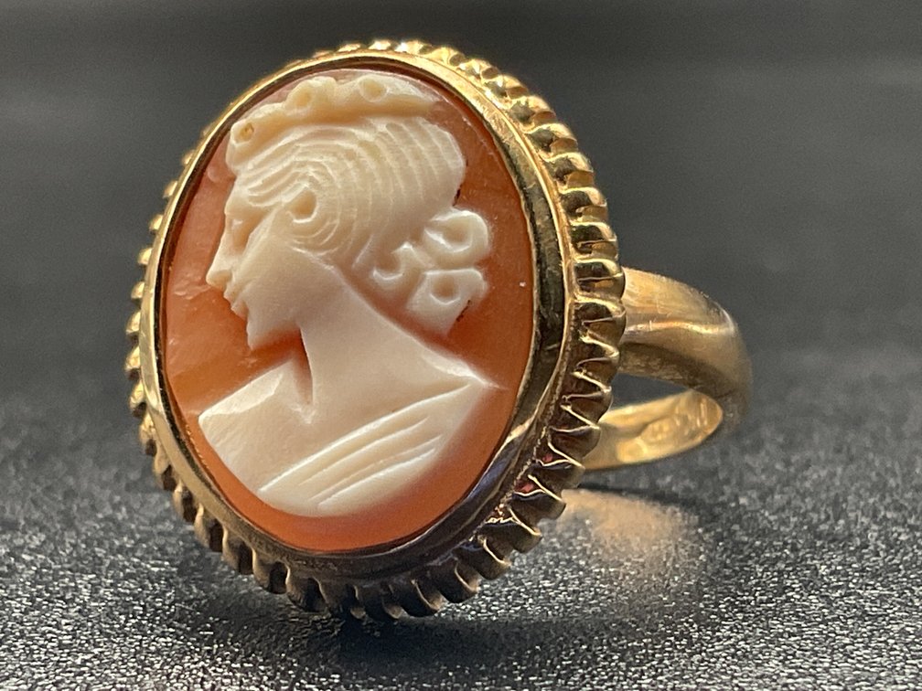 Image for ENT 411 -Timeless Treasures from Beaver & Beckley, WV
