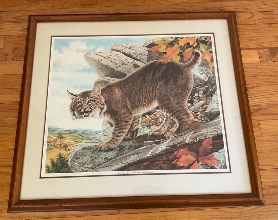 Image for ENT 411 -Timeless Treasures from Beaver & Beckley, WV
