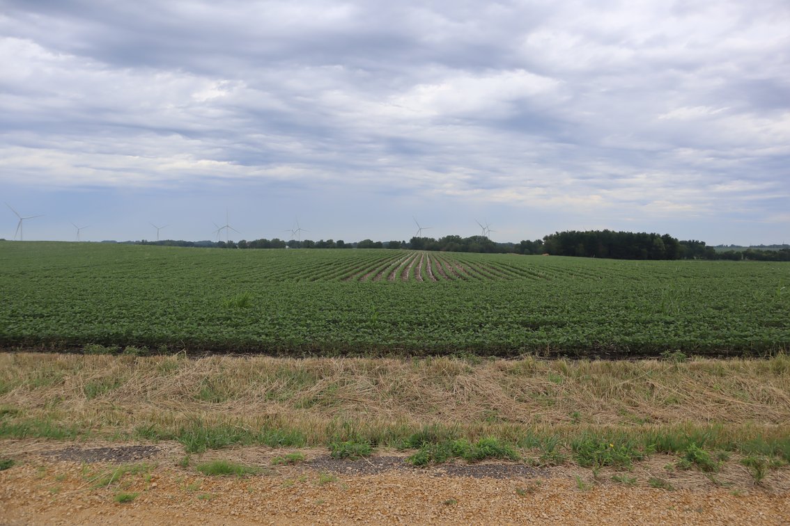 Image for Irene Larson Estate Farm