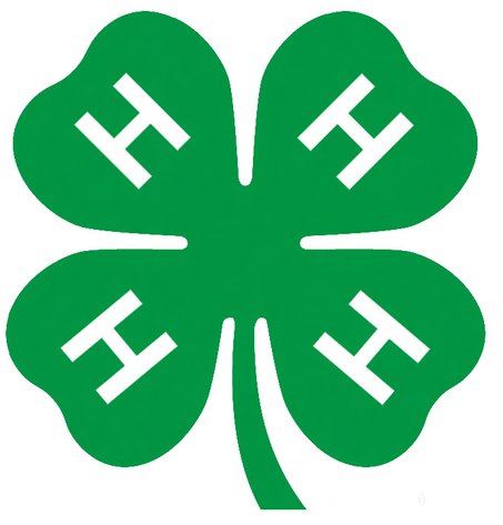 Image for 2025 Monroe County 4-H Small Animal Association Auction