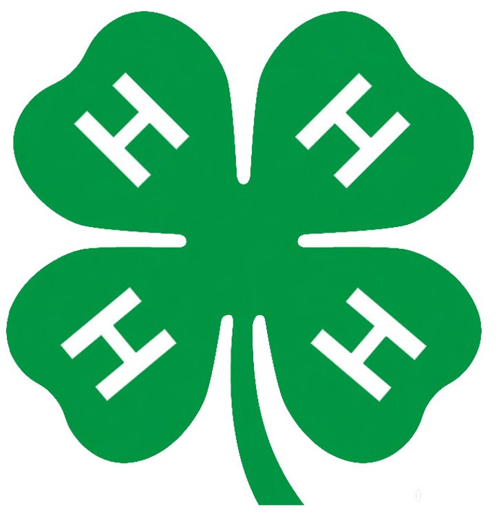 Image for 2025 Monroe County 4-H Small Animal Association Auction