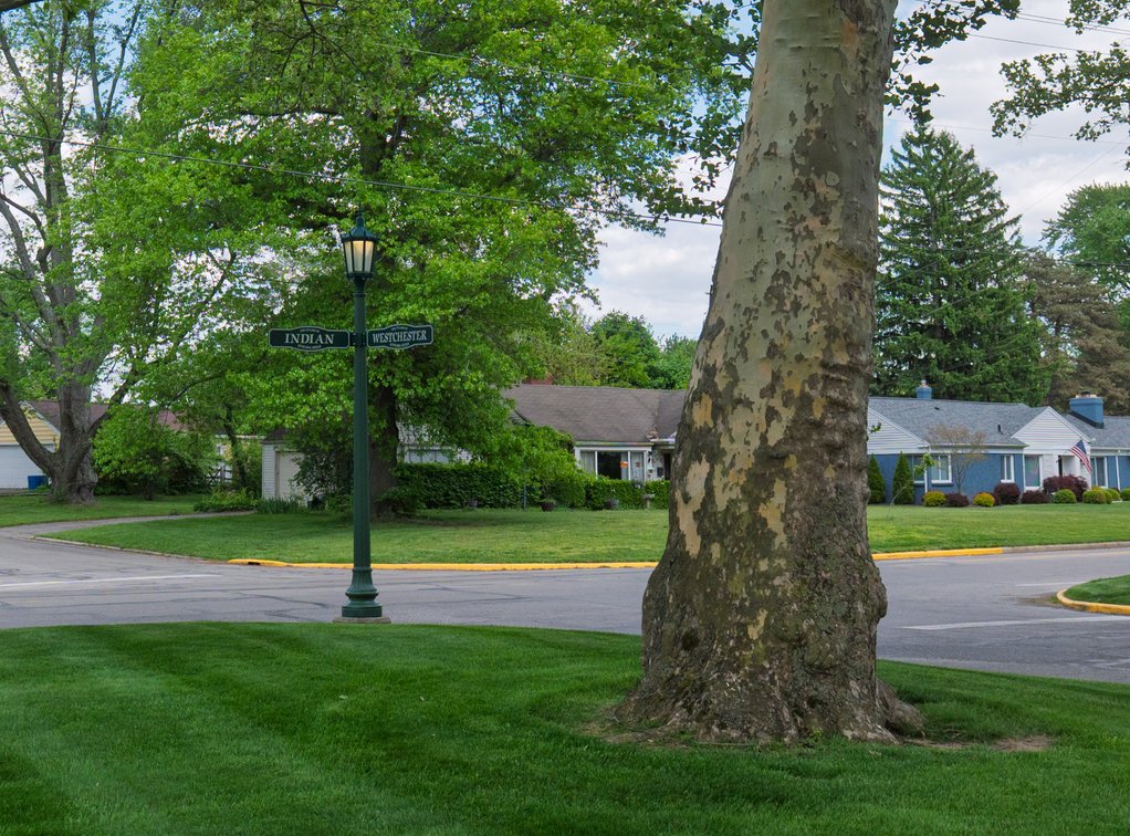 Image for REAL ESTATE AUCTION! 2953 Westchester Rd