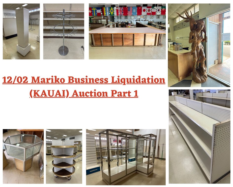 Image for 12/02 Mariko Business Liquidation (KAUAI) Auction Part 1