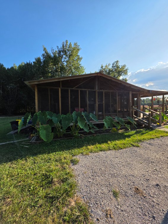 Image for Saturday October 3rd, 2026 11:00am - 3788 New Bushy Branch Rd. Manchester, TN 37355