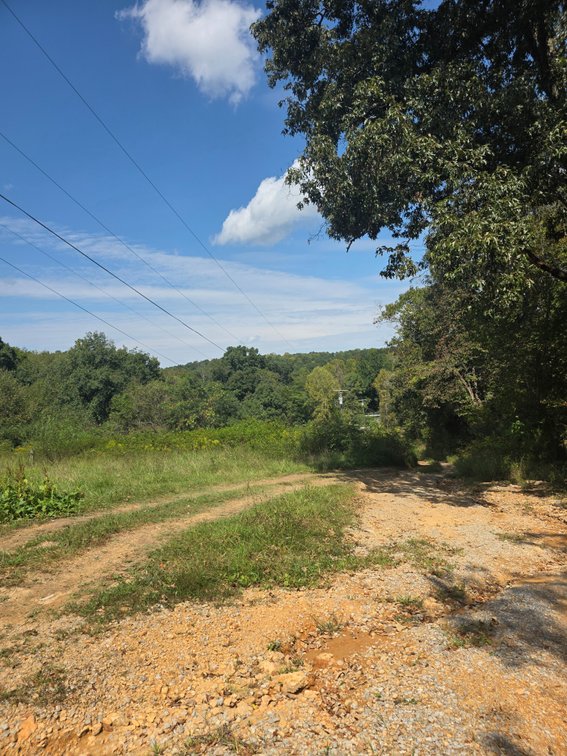 Image for 0 Riley Adcock Rd. Joelton, TN 37080. Online Bidding Only!