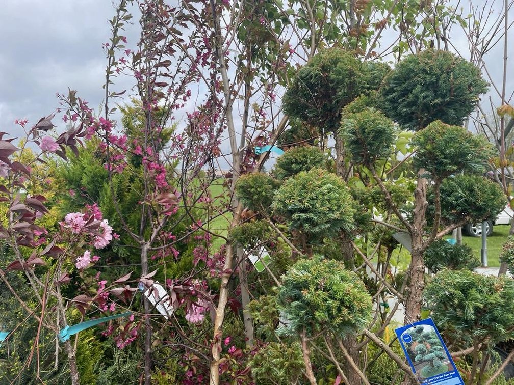 Image for Spring Lawn & Garden Consignment Auction - Live Event