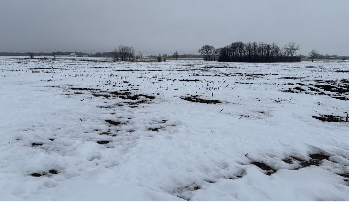 Image for Van Dyne Area 38-Acre Farm - Online Bidding