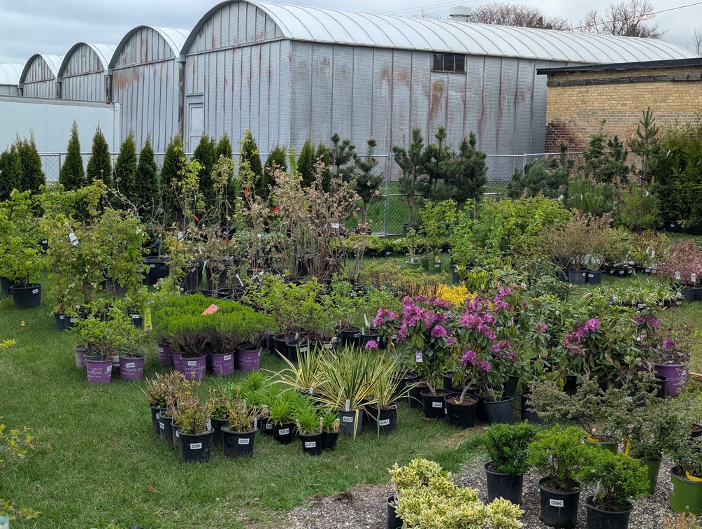 Image for Day 1 - 28th Annual Spring Lawn & Garden Online Consignment Auction