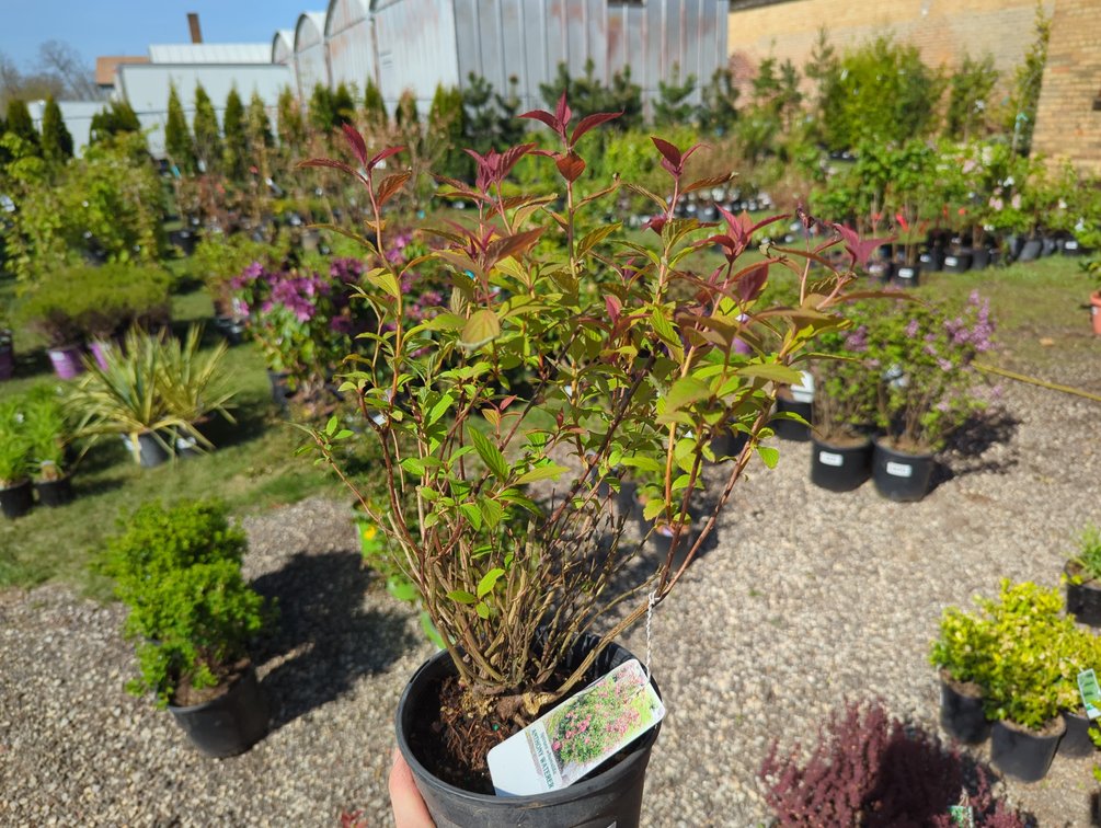 Image for Day 1 - 28th Annual Spring Lawn & Garden Online Consignment Auction
