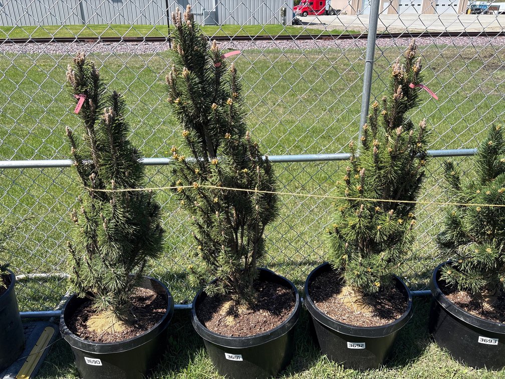 Image for Day 1 - 28th Annual Spring Lawn & Garden Online Consignment Auction