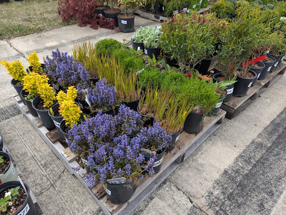 Image for Day 2 - 27th Annual Spring Lawn & Garden Online Consignment Auction