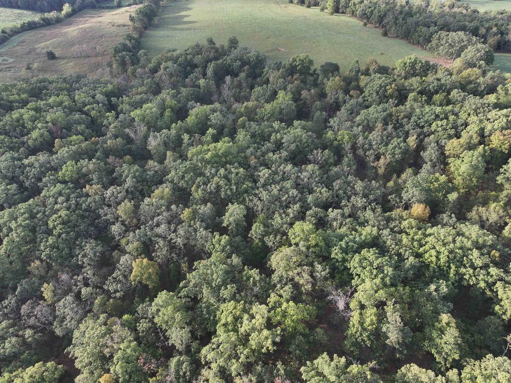 Image for Perry County, Hwy BB