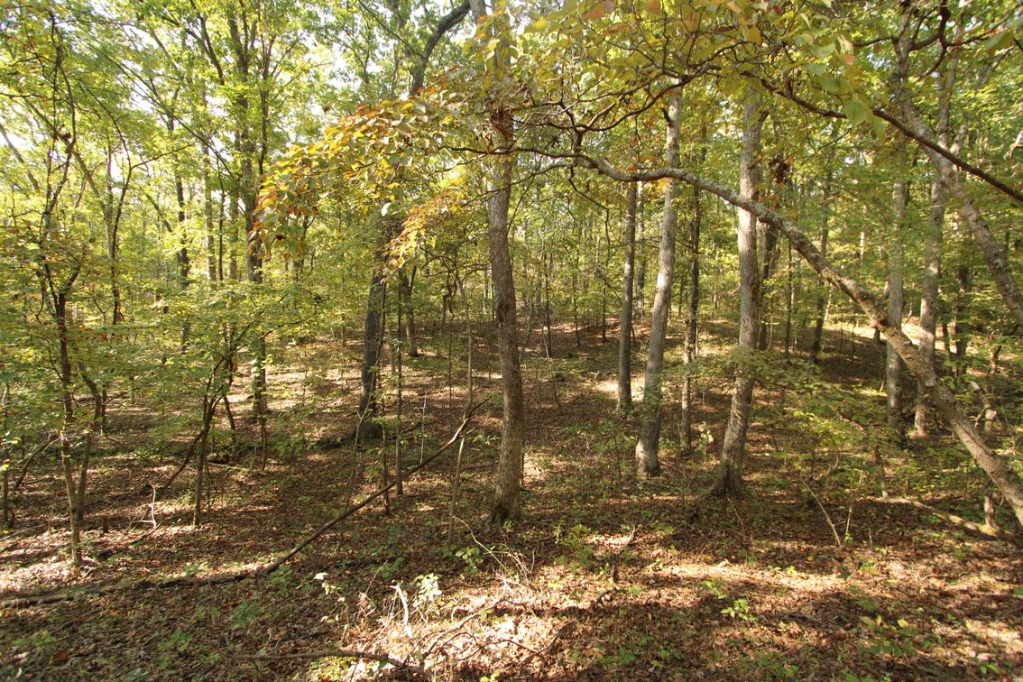 Image for Perry County, Hwy BB