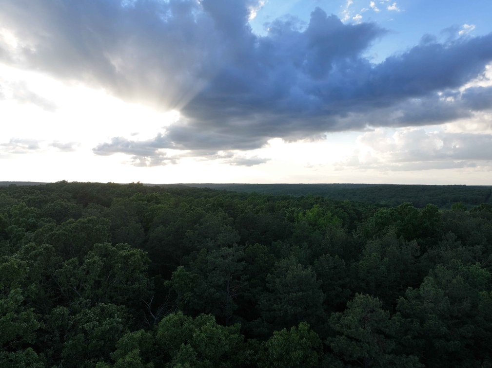 Image for Bollinger County 6 tracts BCR 924