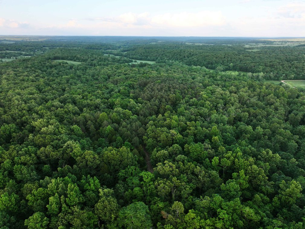 Image for Bollinger County 6 tracts BCR 924