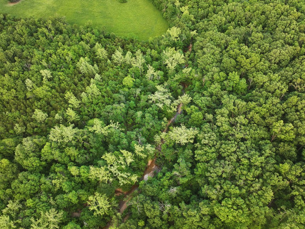 Image for Bollinger County 6 tracts BCR 924