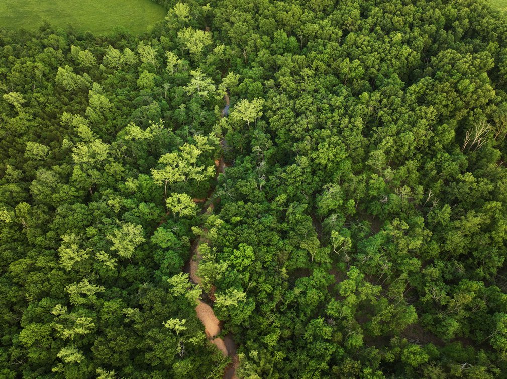 Image for Bollinger County 6 tracts BCR 924