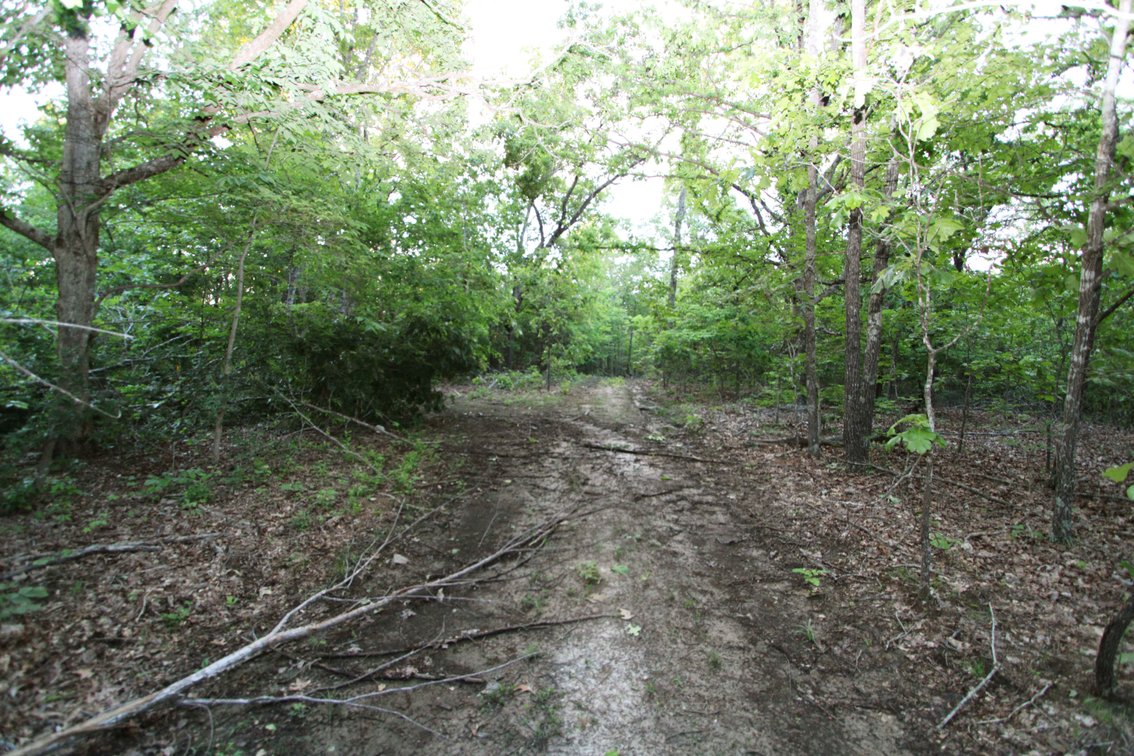 Image for Bollinger County 6 tracts BCR 924