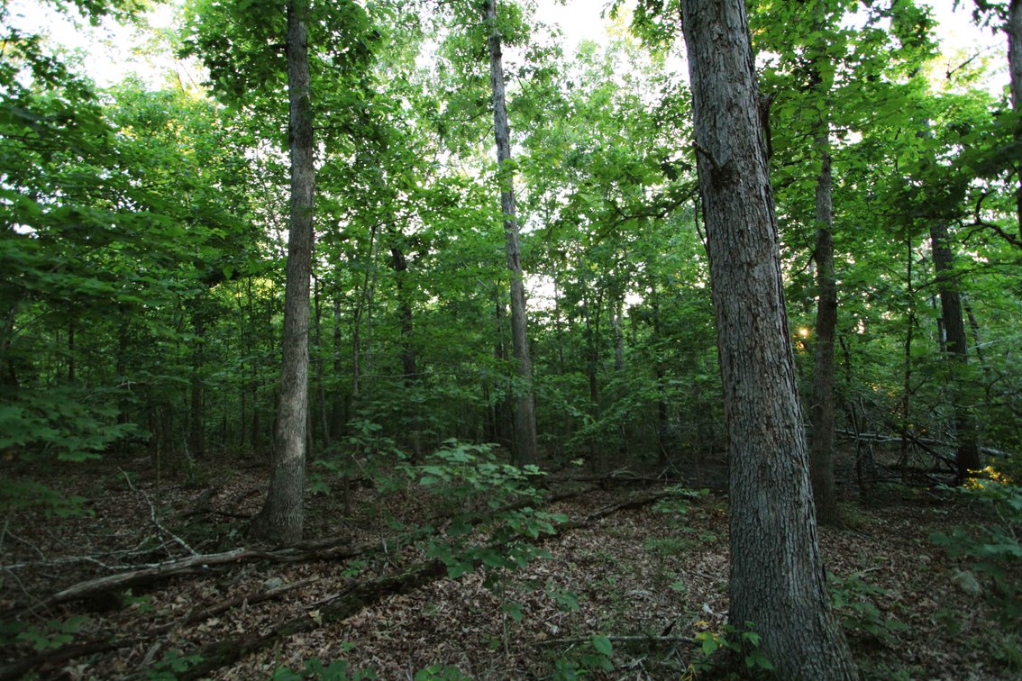Image for Bollinger County 6 tracts BCR 924