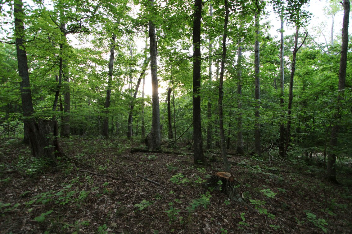 Image for Bollinger County 6 tracts BCR 924