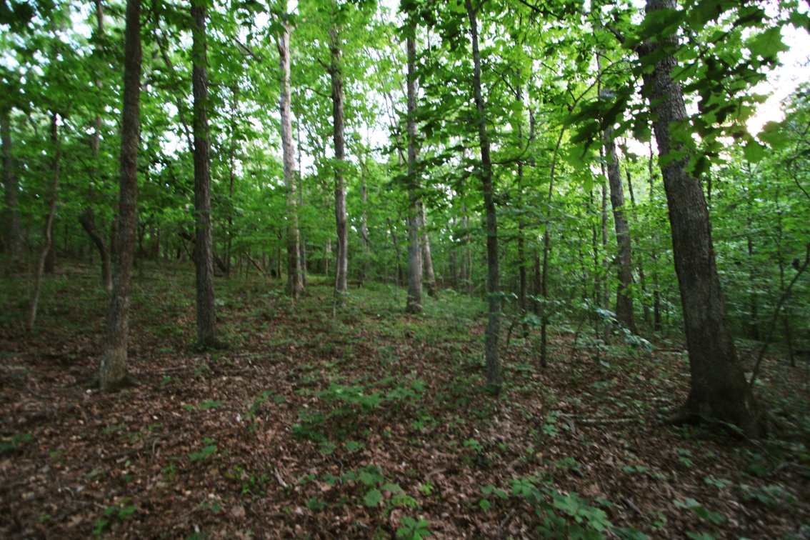 Image for Bollinger County 6 tracts BCR 924