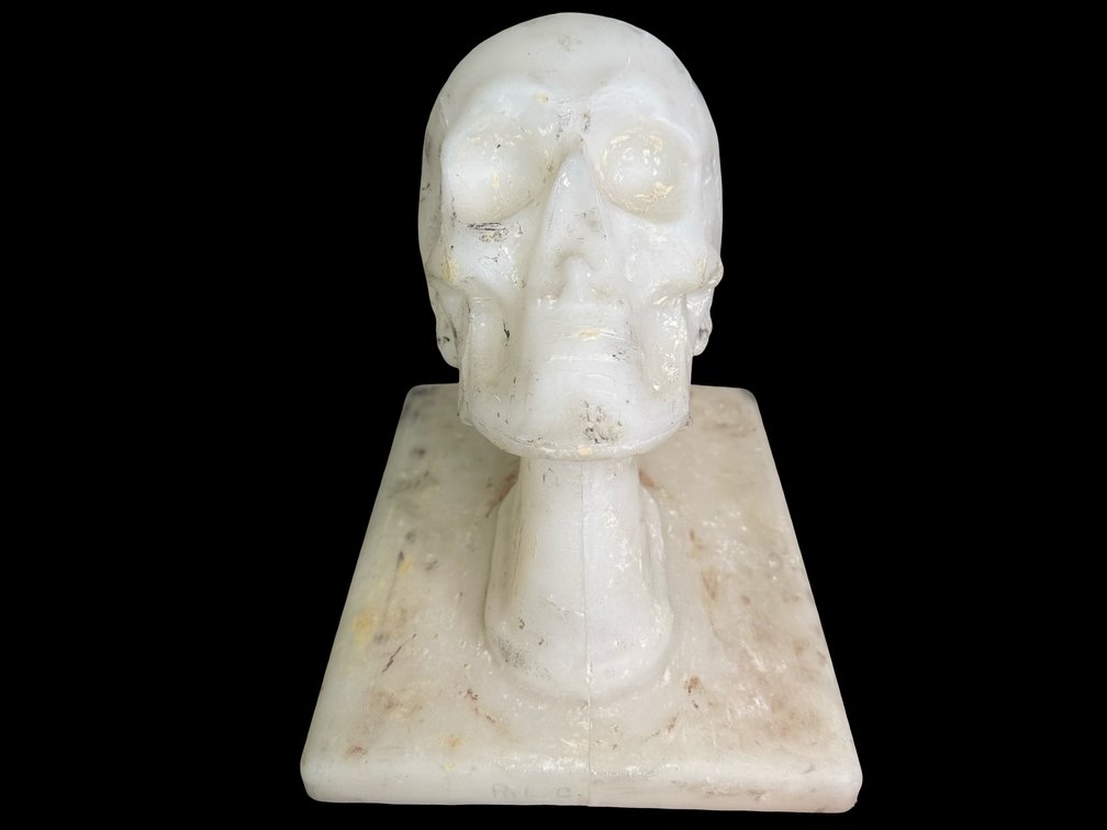 Image for Oddities, Taxidermy, Medical, Magic, Circus & More.