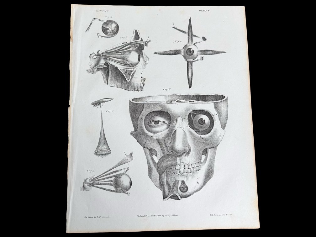 Image for Unique Ephemera & Photos
