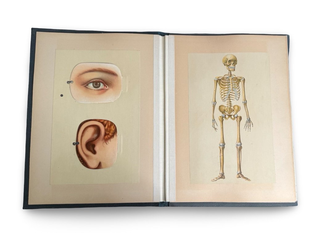 Image for The Art of Death: Funeral Antiques, Ephemera & Mortuary Relics