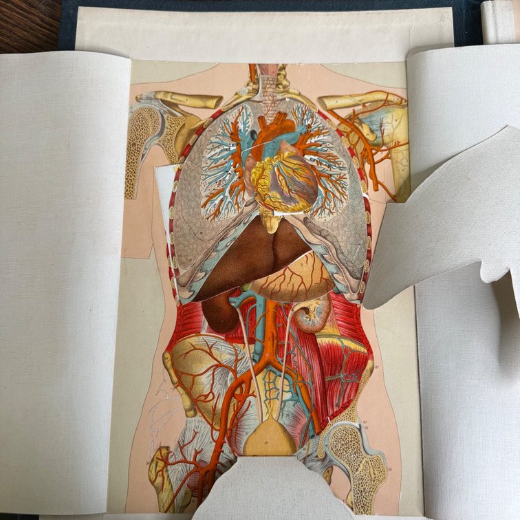 Image for The Art of Death: Funeral Antiques, Ephemera & Mortuary Relics