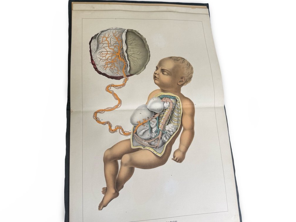Image for The Art of Death: Funeral Antiques, Ephemera & Mortuary Relics
