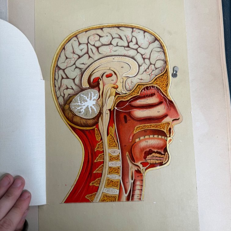 Image for The Art of Death: Funeral Antiques, Ephemera & Mortuary Relics