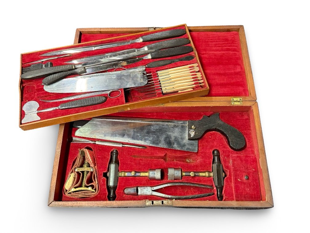 Image for The Strange & Unusual: Oddities Galore!